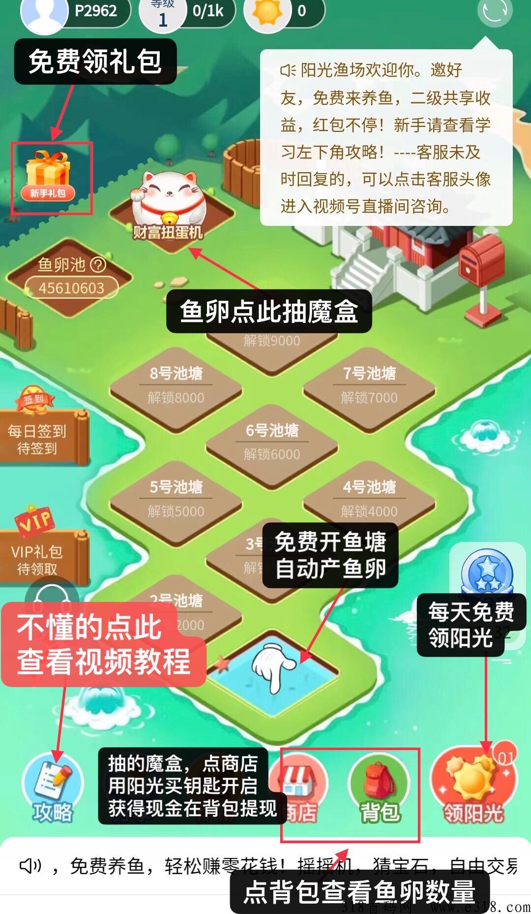 阳光渔场，半自动项目，单号收益高
