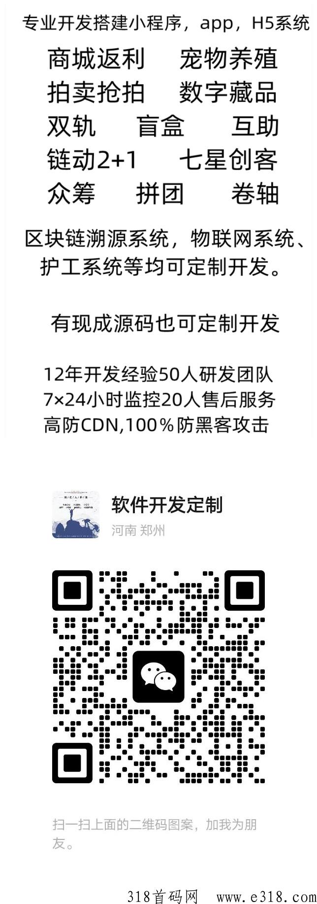 开发各种软件系统，仿盘搭建，10年开发经验，需要的联系