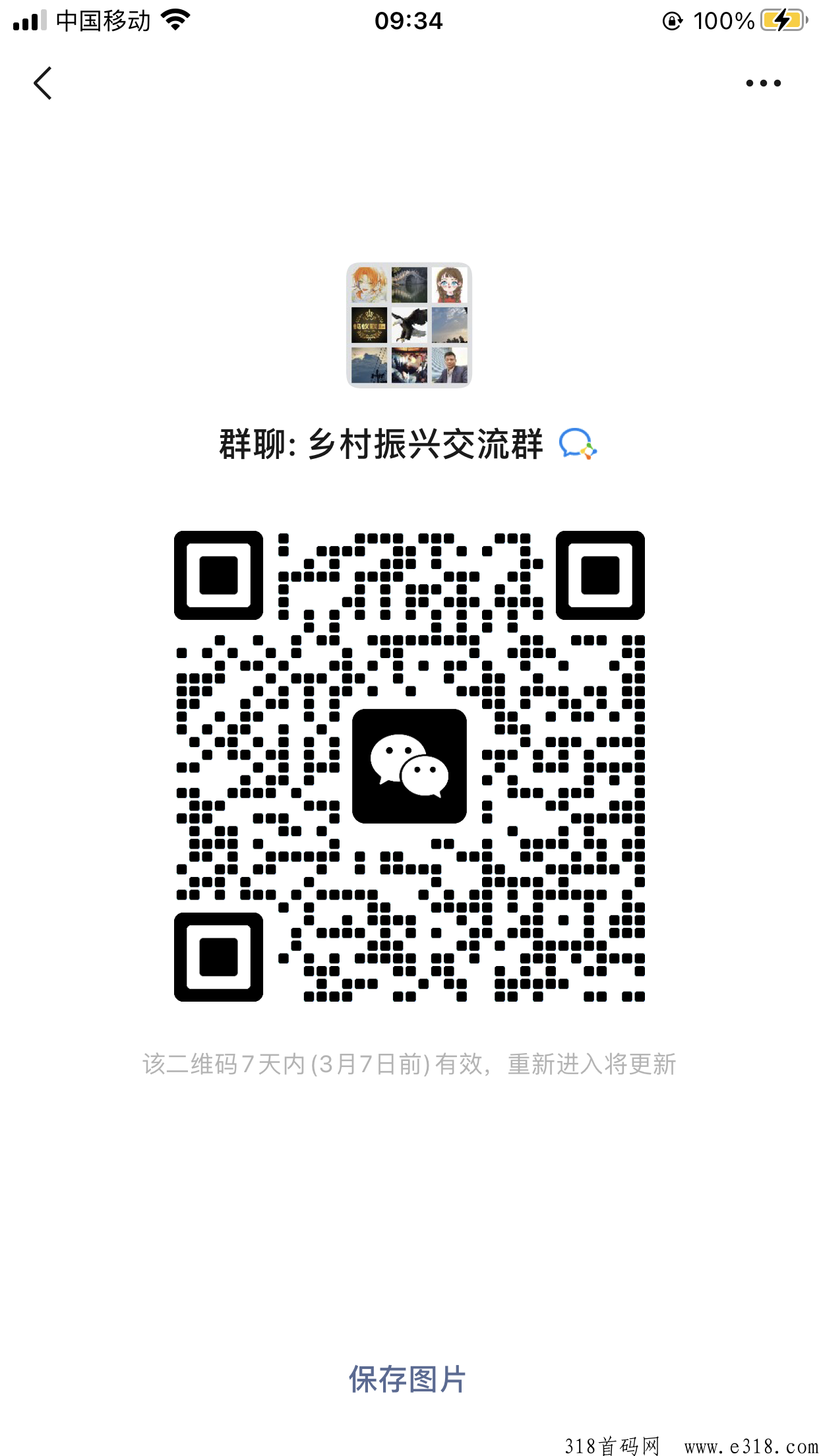 乡村振兴项目，产业乡村振兴，战略逻辑为引导，培育g有民营