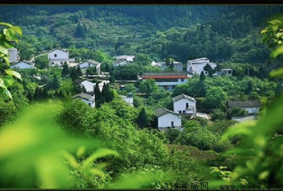 乡村振兴项目，产业乡村振兴，战略逻辑为引导，培育g有民营