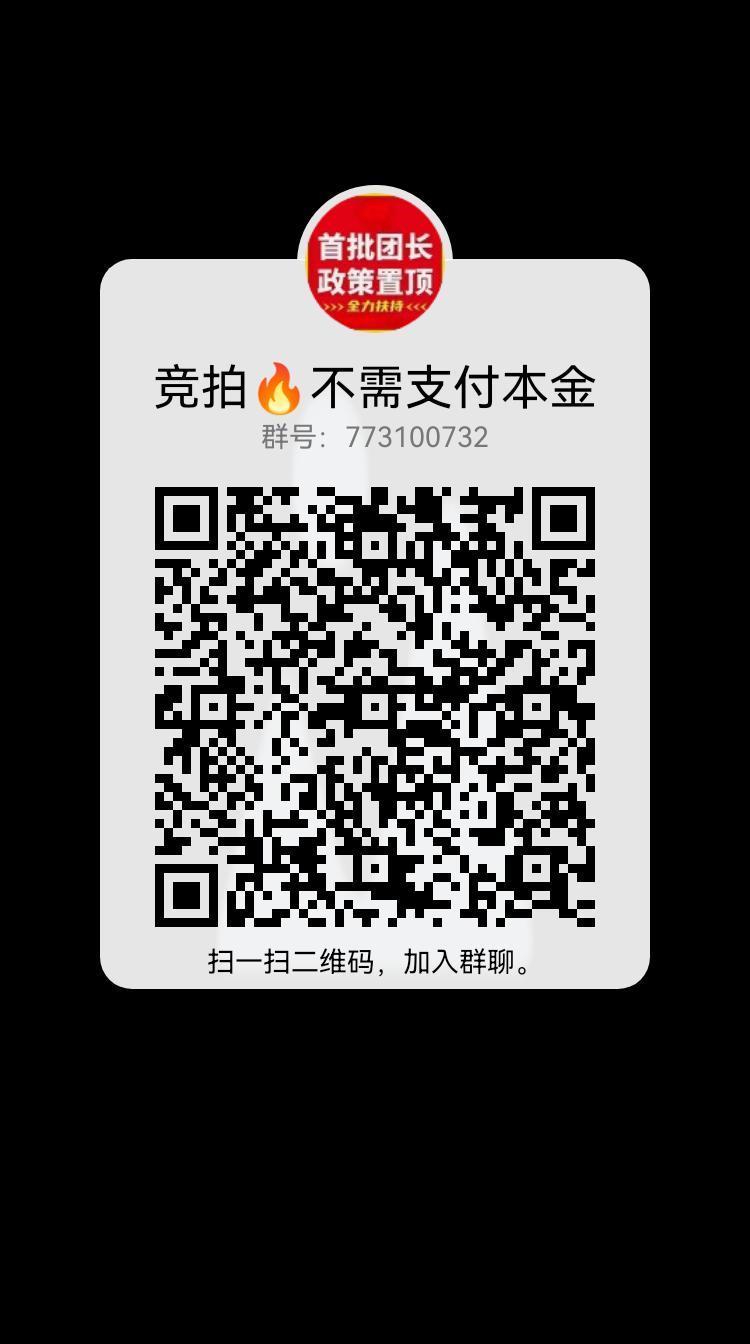 新模式创新竞拍，可考察，商品发货，四条地推团队