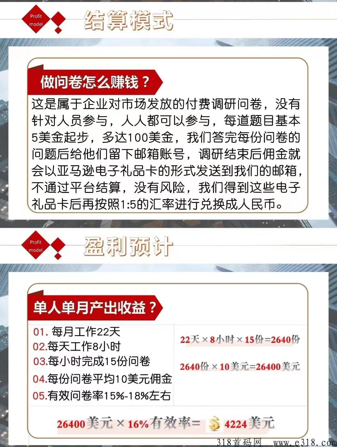 互联网轻投项目问卷调查