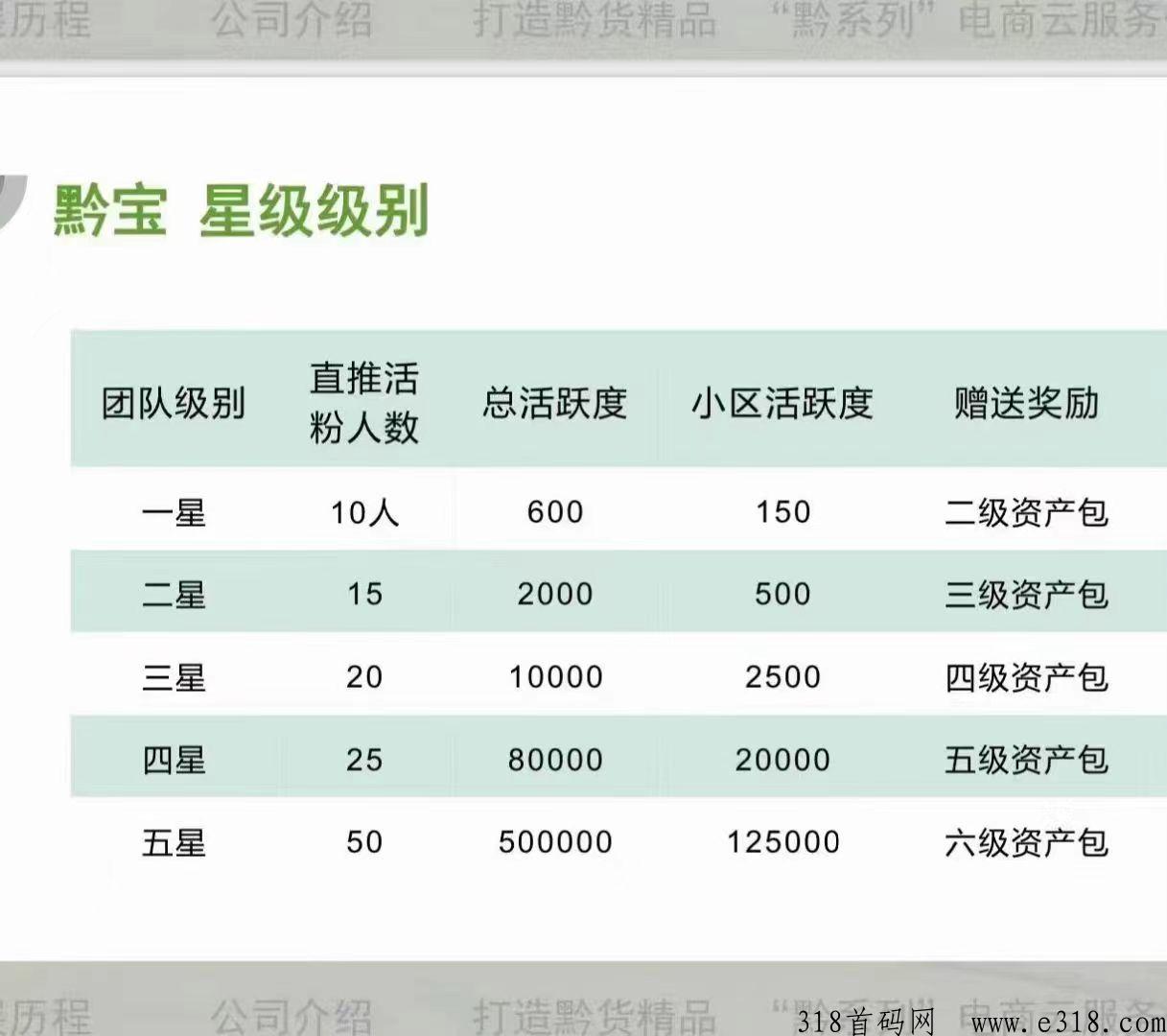 首码从黔来，zf背书项目，自带交易，9大销毁机制，黔宝抢茅台