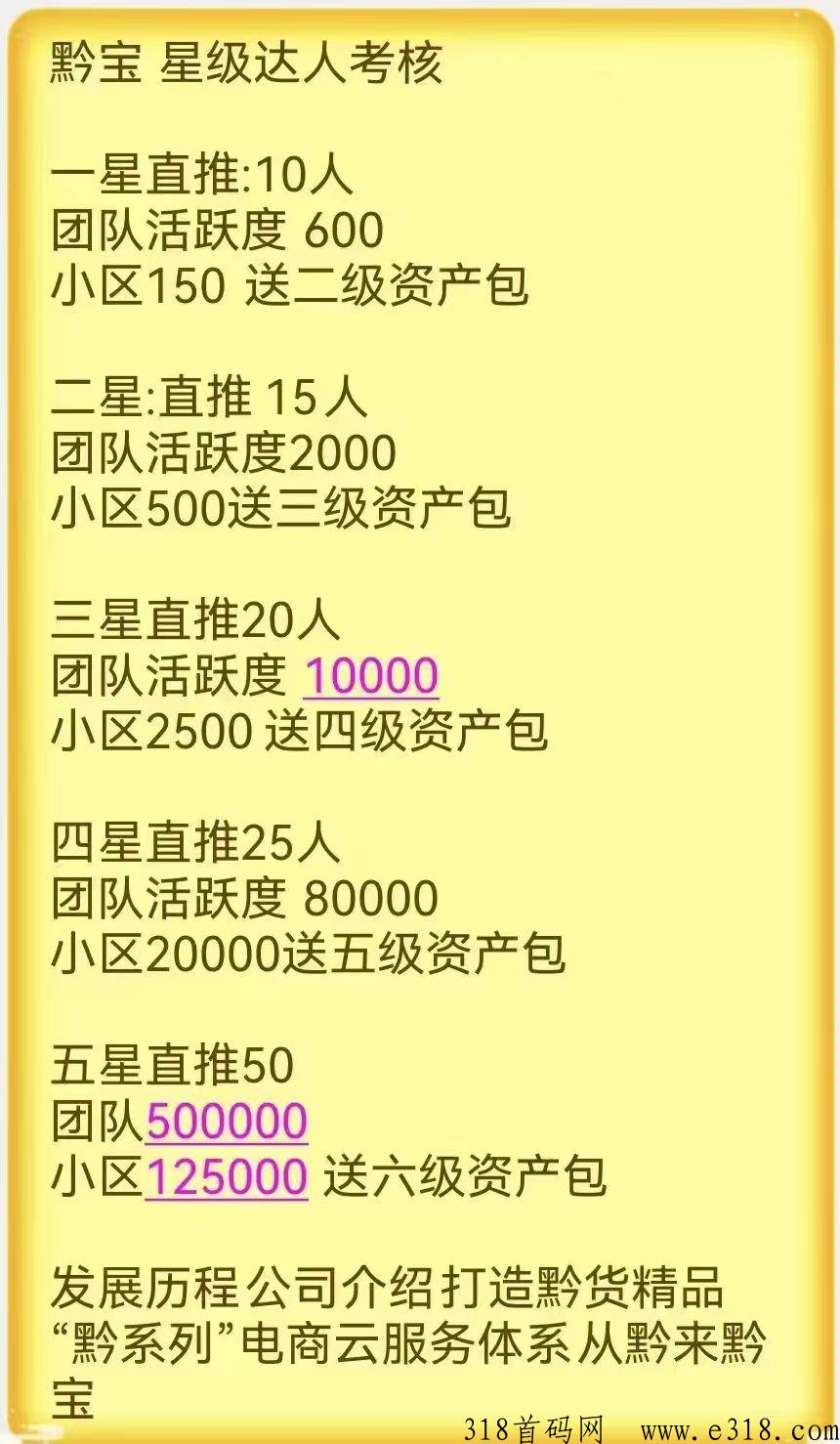 首码从黔来，zf背书项目，自带交易，9大销毁机制，黔宝抢茅台