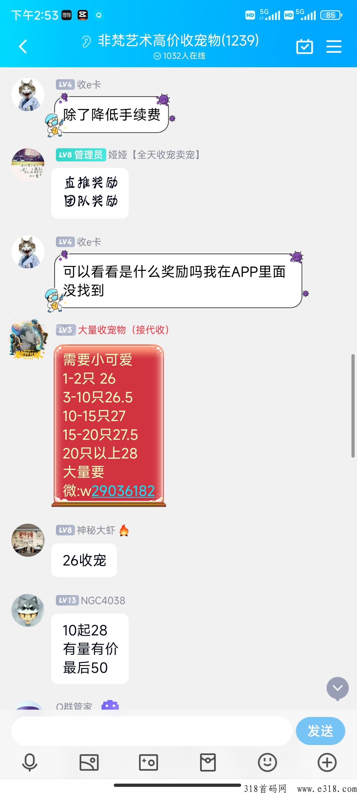 非梵艺术，最火爆项目已稳定半年