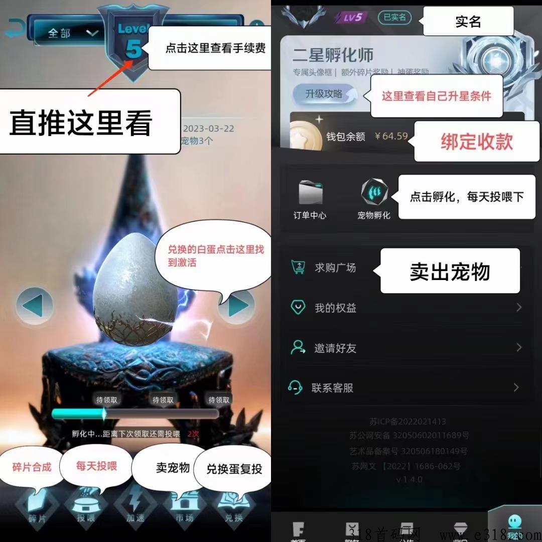 非梵艺术，2023最强撸项目，宠物一个价高提现秒到