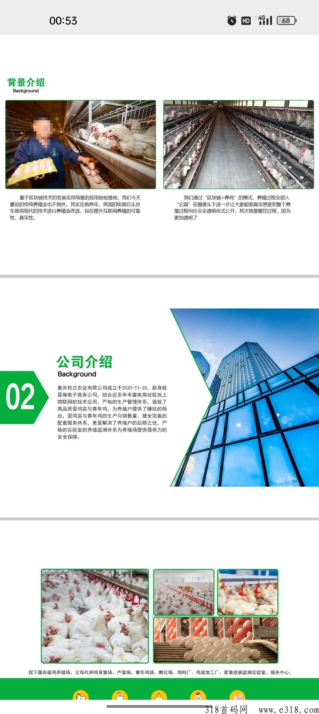 牧兰农业首码，养鸡赚米