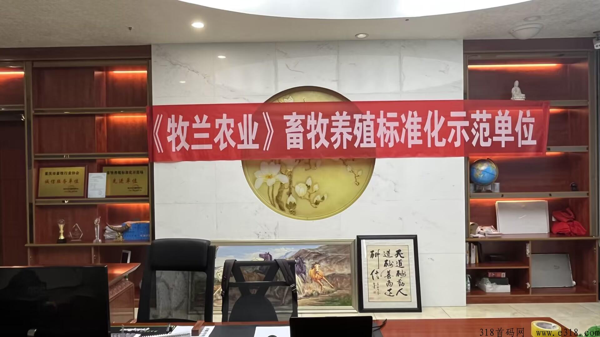 牧兰农业首码火爆，小鸡蛋里产大业