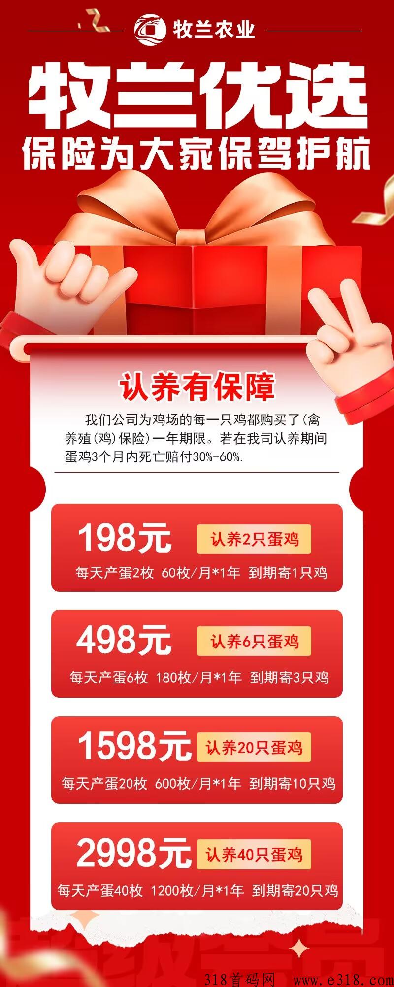 牧兰农业首码火爆，小鸡蛋里产大业