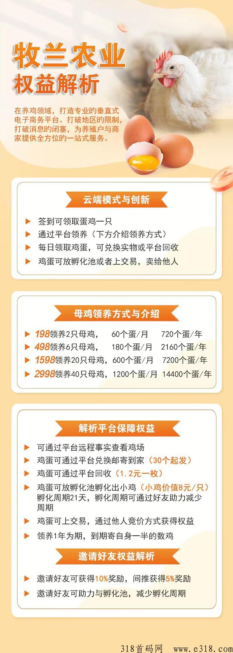 牧兰农业首码火爆，小鸡蛋里产大业
