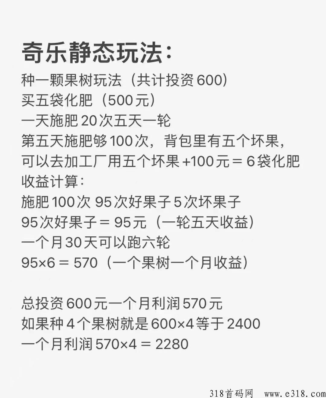奇乐市场火爆对接中，实力稳定项目