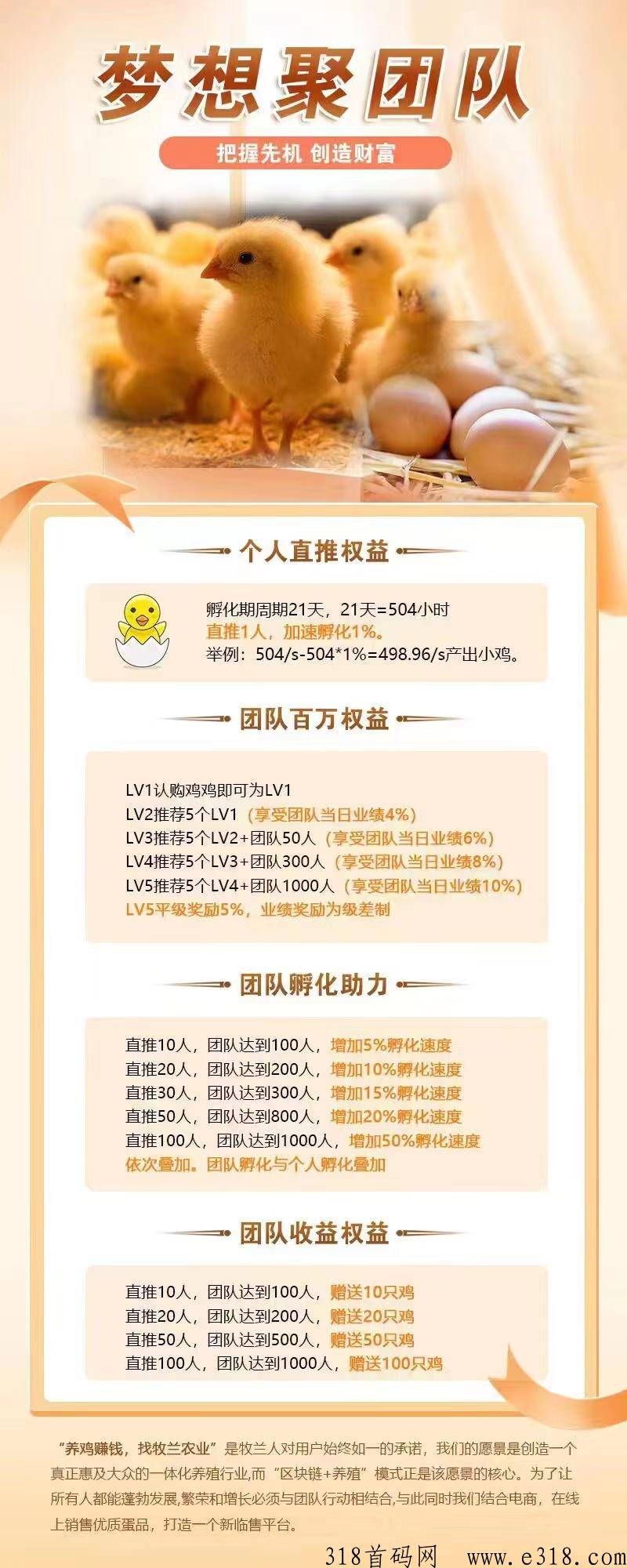 牧兰农业云养鸡，首码对接团队长，牧兰农场