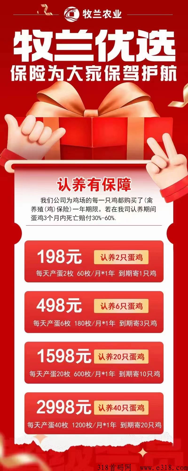 牧兰农业云养鸡，首码对接团队长，牧兰农场