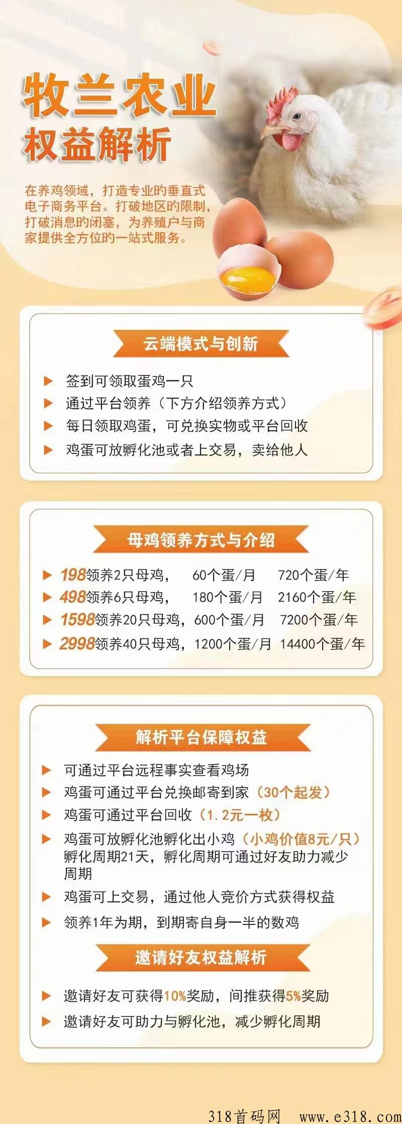 牧兰农业云养鸡，首码对接团队长，牧兰农场