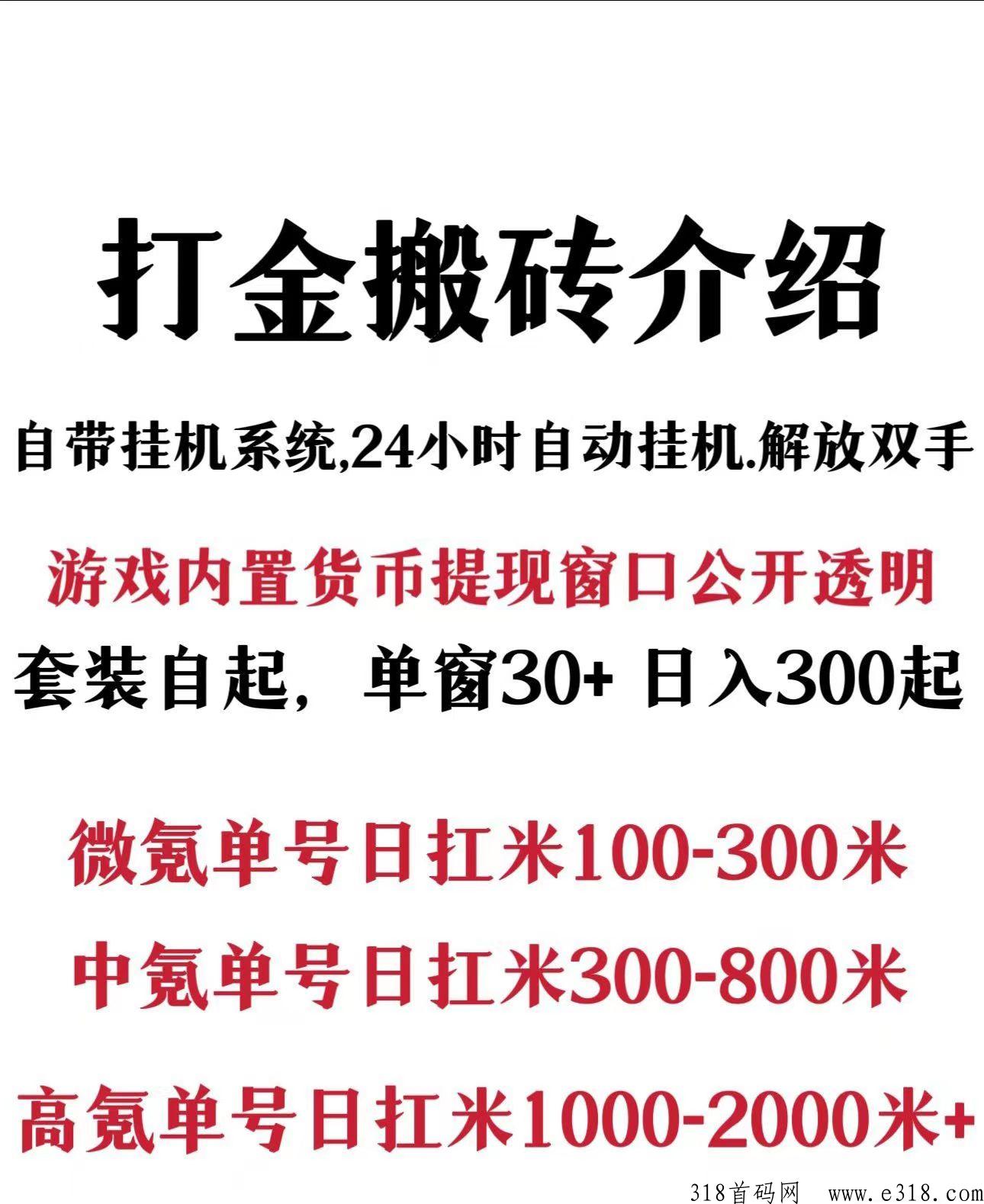 龙皇搬砖打金加强版新区，牛市级别打金副业项目