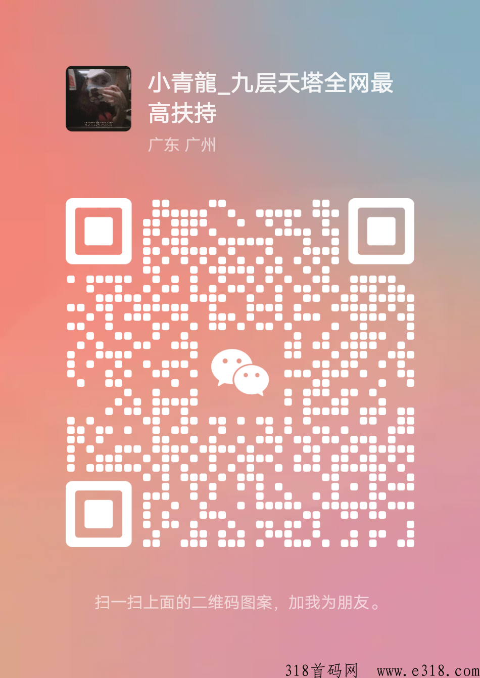 九层天塔首码创新模式招募市场部首码团队长，最高待遇带5随时结算
