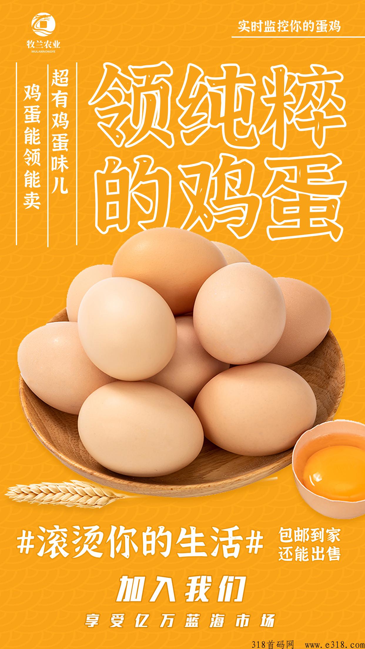 牧兰农业，养鸡业务，通过云养模式，线上线下结合