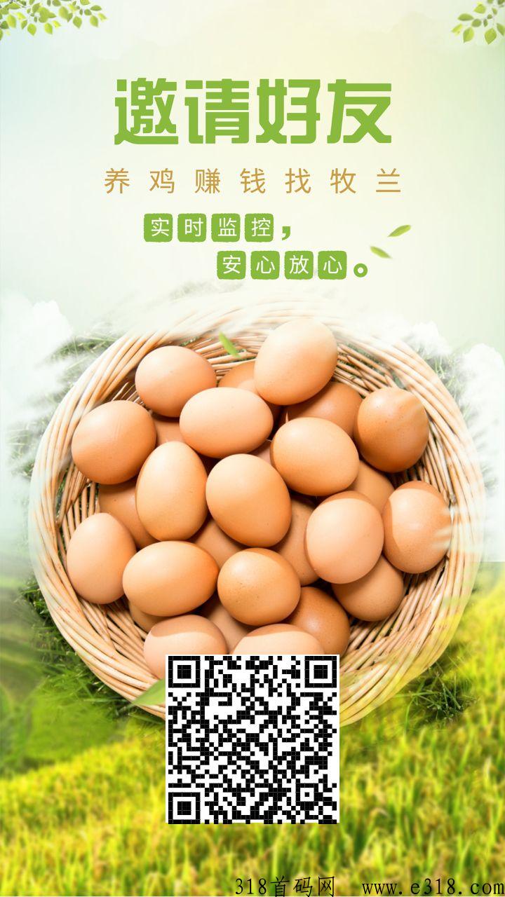 牧兰农业首码扶持，小鸡蛋里赚大米