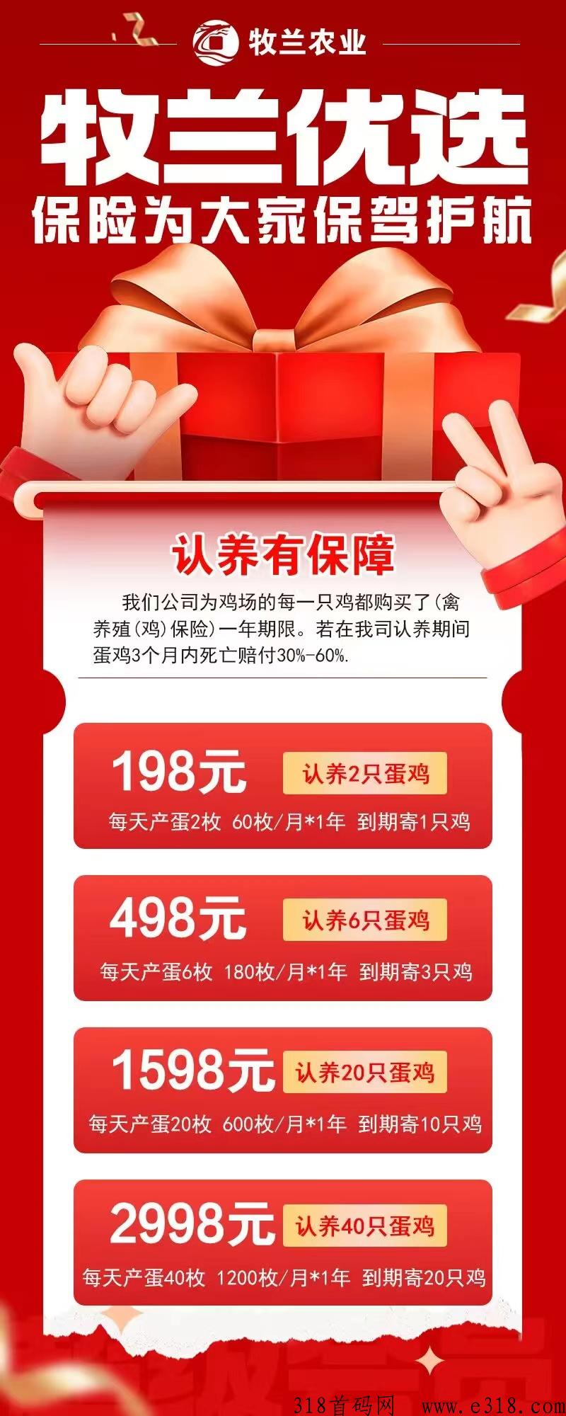 牧兰农业首码预热，2023最火爆项目，小鸡蛋里赚大米