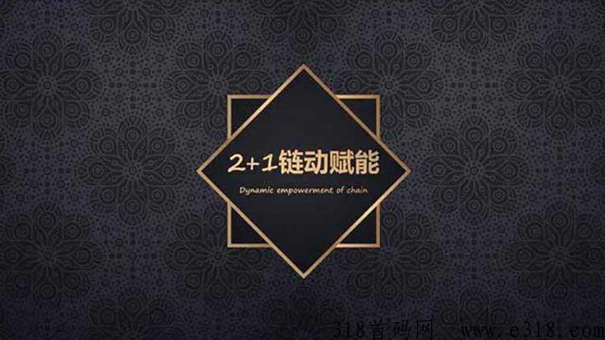 链动2+1分销APP商城小程序开发案例