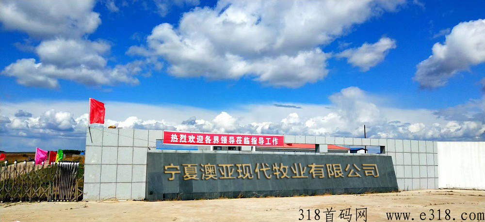 澳亚世界，重磅消息！全新项目即将强势来袭！官方全网对接实力团队长，全网最高待遇扶持！