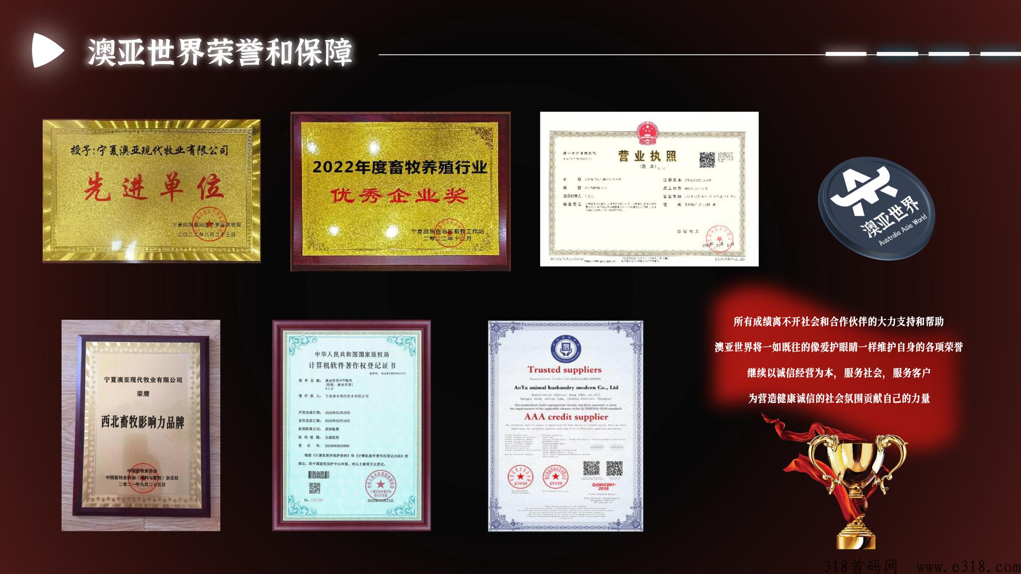 澳亚世界，重磅消息！全新项目即将强势来袭！官方全网对接实力团队长，全网最高待遇扶持！