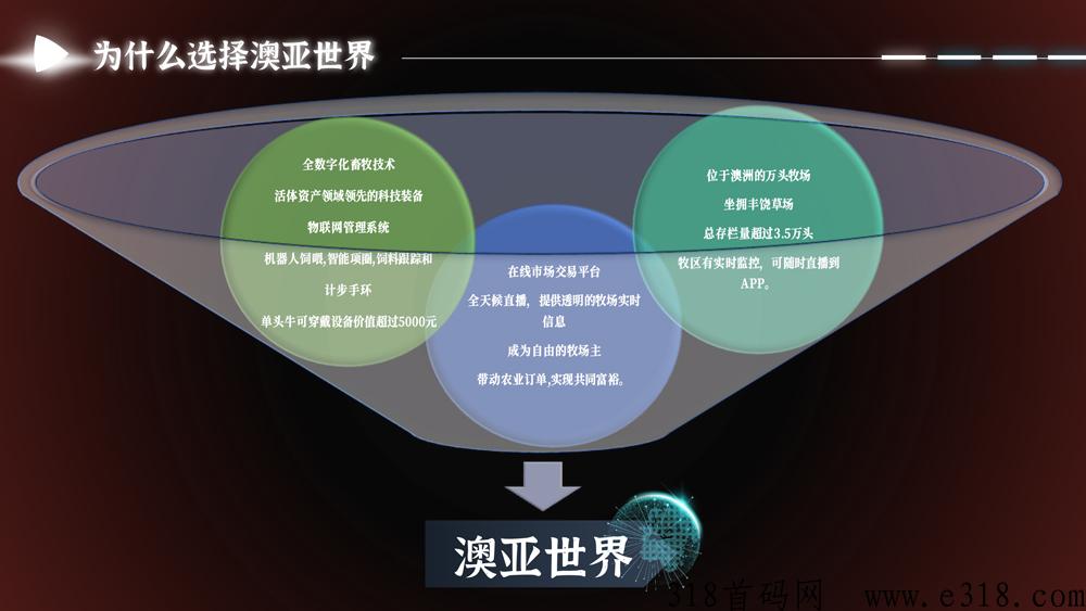 澳亚世界，重磅消息！全新项目即将强势来袭！官方全网对接实力团队长，全网最高待遇扶持！