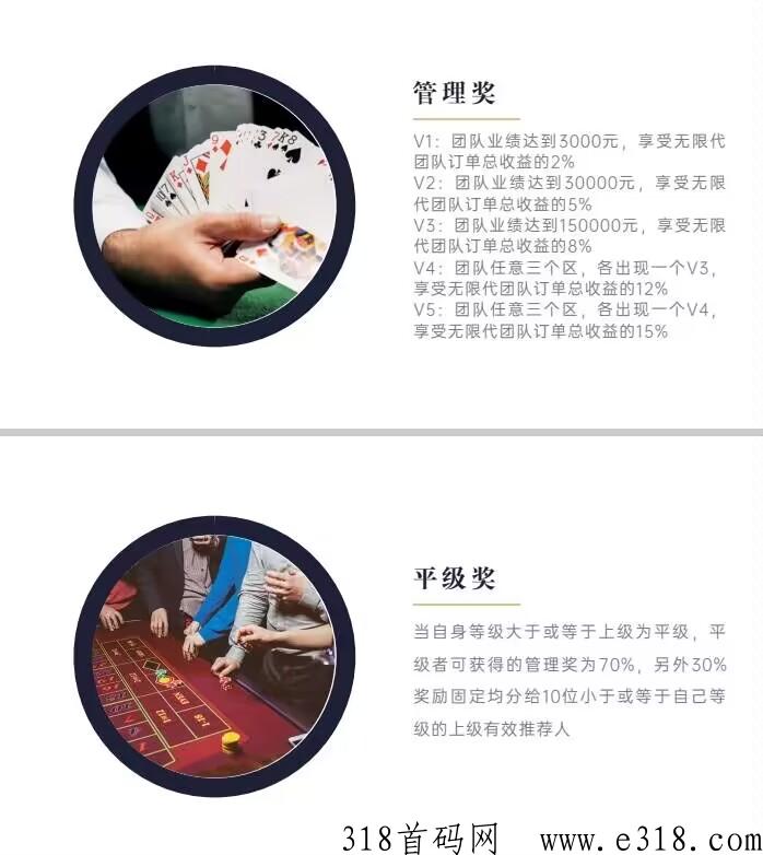 九层天塔新风口，新风口！提现自由，对接全网团队长