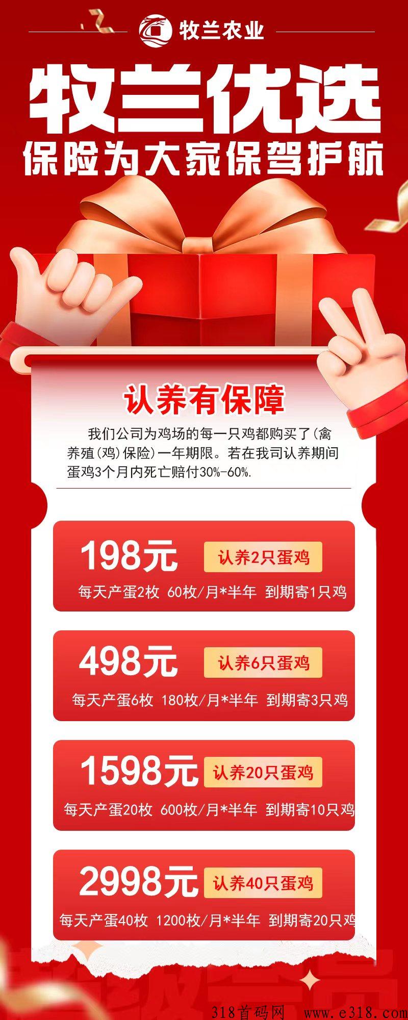 牧兰农业首码，现金扶持下级，2023火爆云养鸡赚大米项目