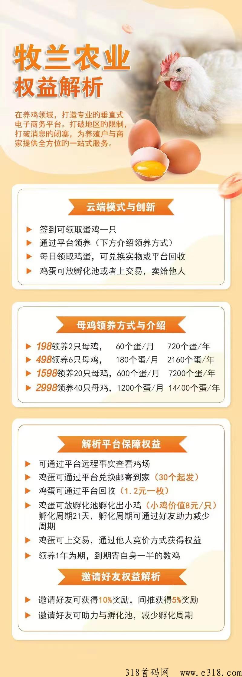 牧兰农业首码，现金扶持下级，2023火爆云养鸡赚大米项目