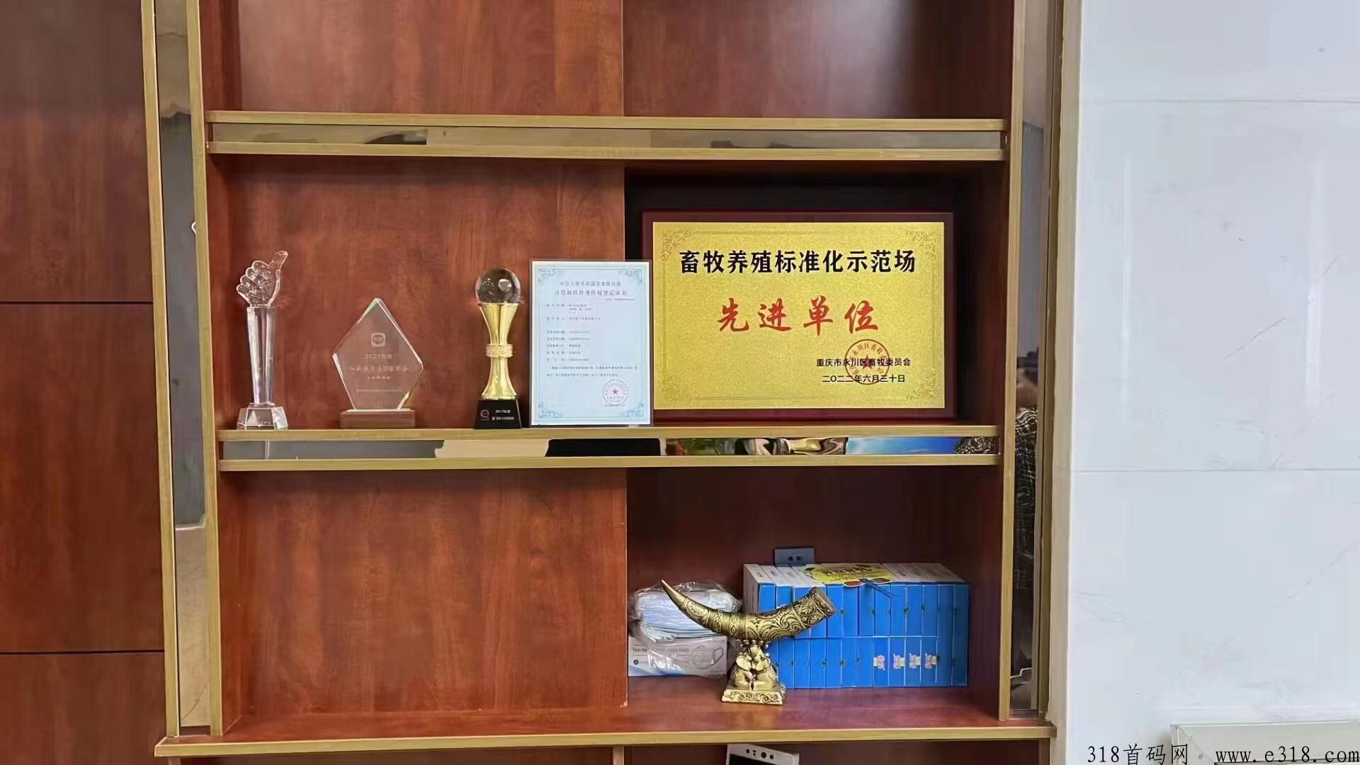 牧兰农业首码对接，现金扶持直推，让用户在平台里面实时监控鸡场，零售版块