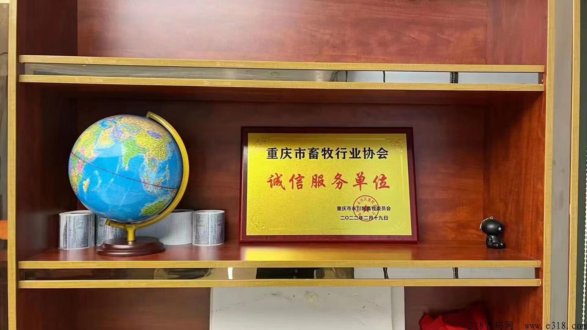 牧兰农业首码对接，现金扶持直推，让用户在平台里面实时监控鸡场，零售版块