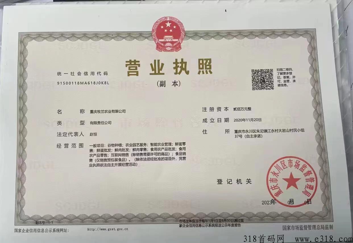 牧兰农业首码对接，现金扶持直推，让用户在平台里面实时监控鸡场，零售版块
