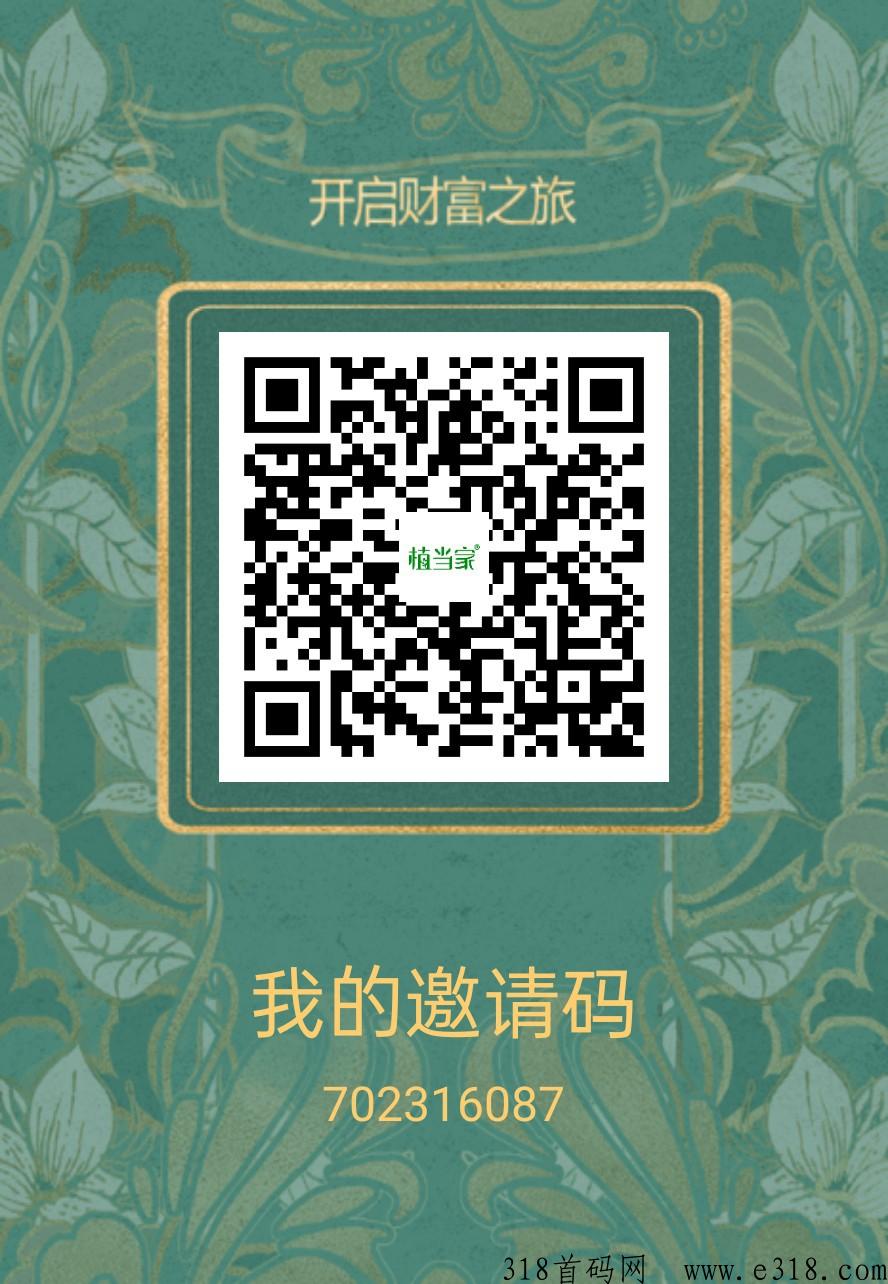 植当家，全网一条线，项目之王