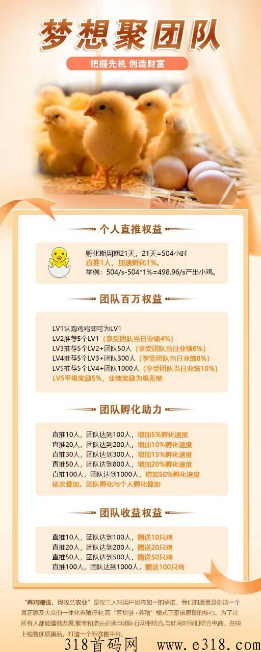 牧兰农业首码对接团队长，火爆云养鸡小鸡蛋里赚大米