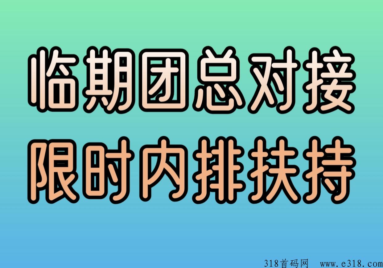 临期团内测，月底上线，错过临期仓的来！蓝海市场！考察的进群