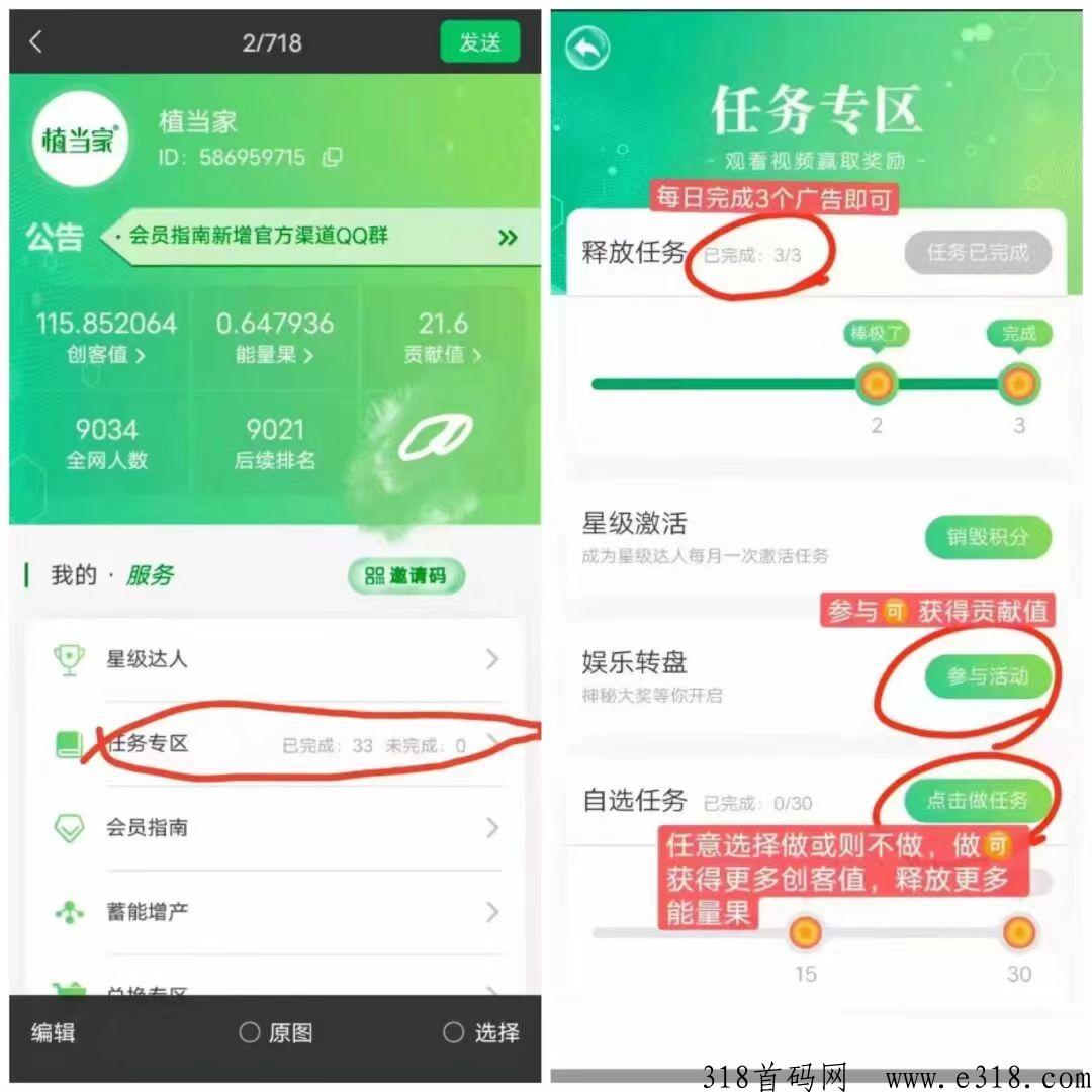 植当家一个果子一百米，横扫一切零撸项目