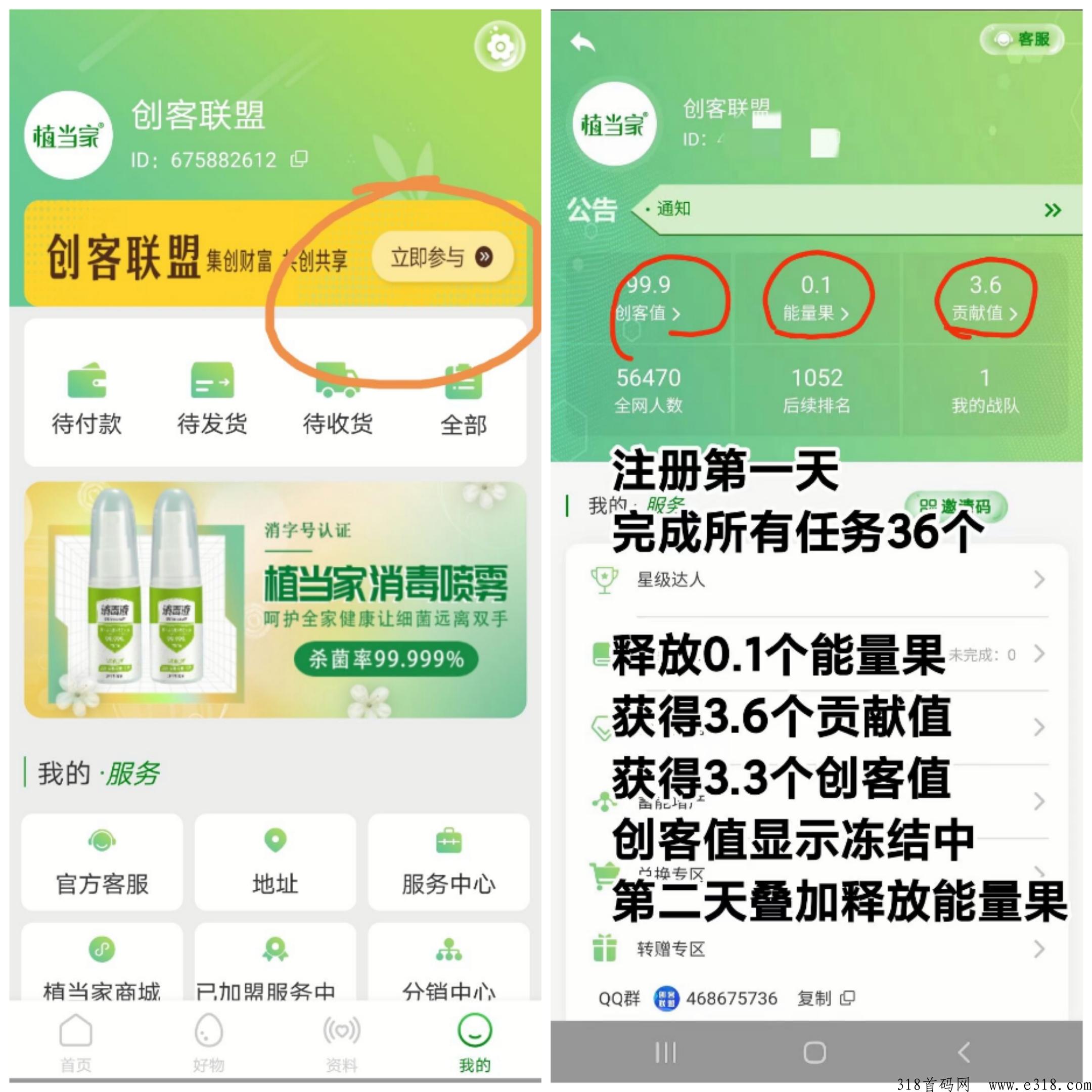 植当家一个果子一百米，横扫一切零撸项目