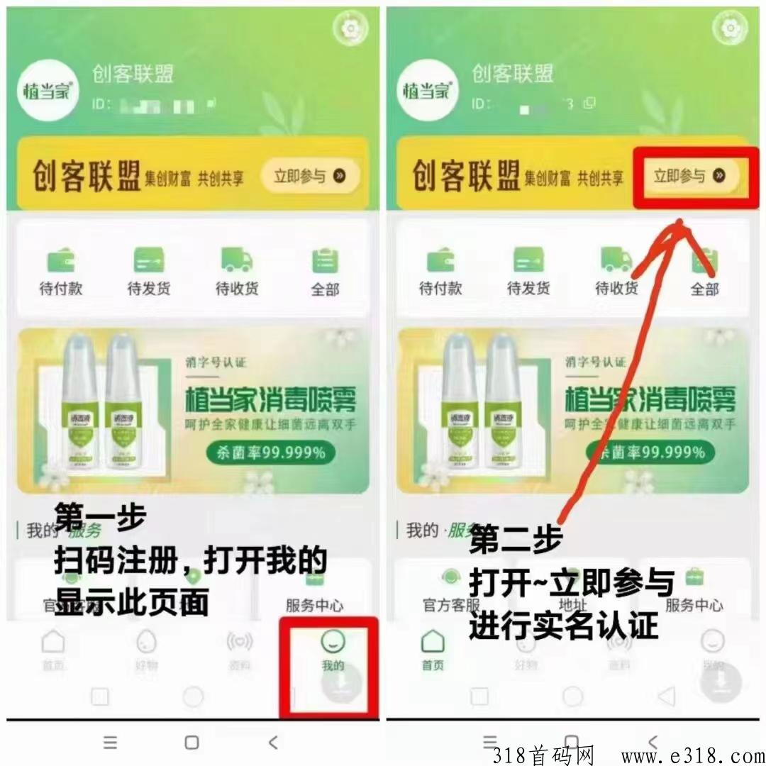 植当家！一个果子价高！横扫一切项目