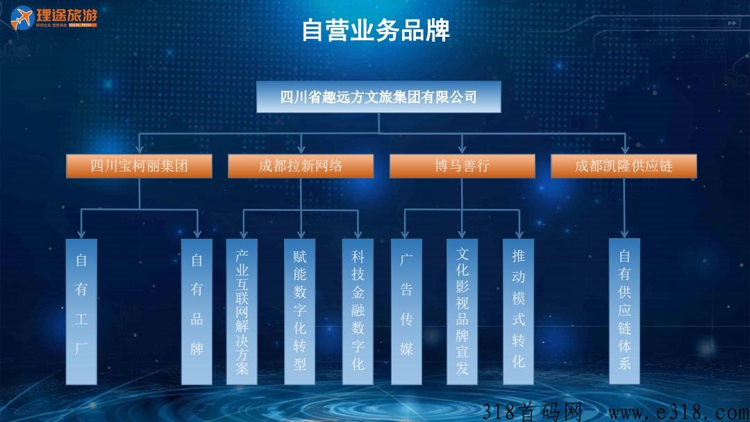 【理途旅游】g企重点项目，天使轮已完成，无x扶持6，速来