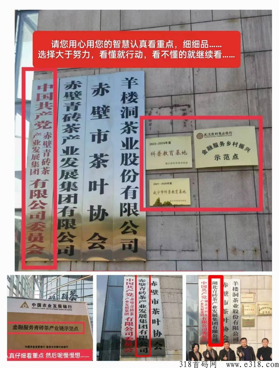 羊楼洞682定制拼仓是干嘛的？合法吗？