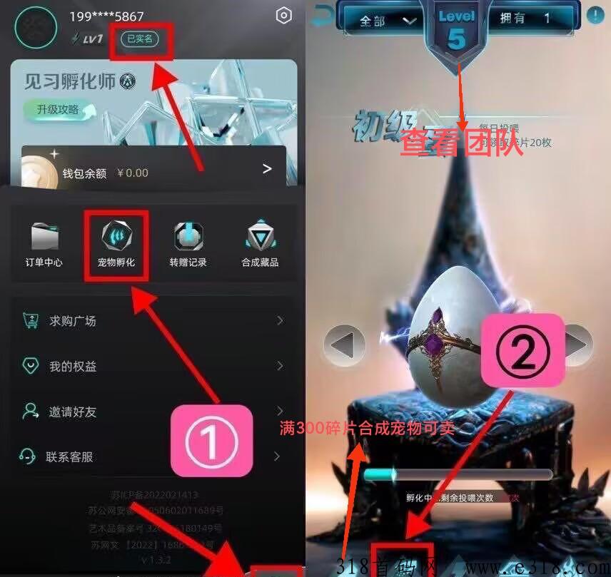 首码非凡艺术