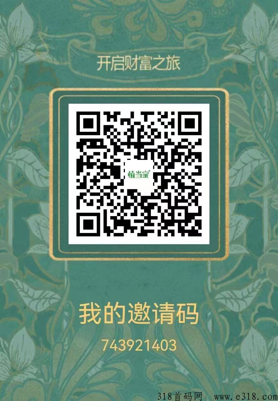 无需任何投资暴力g企项目