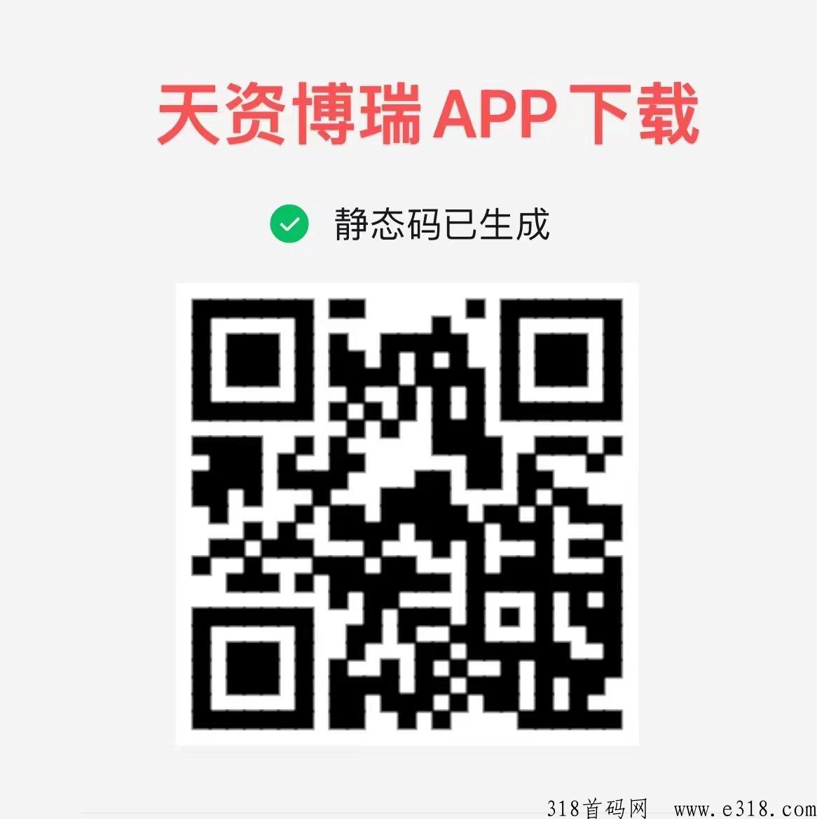 天资博瑞项目