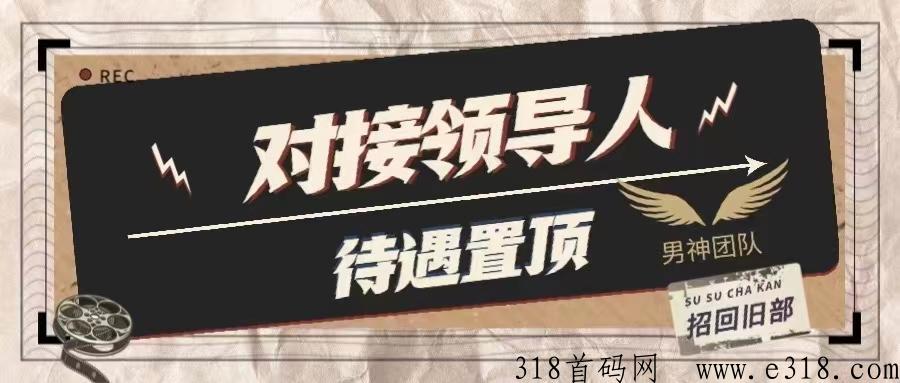今年全网创业模式，黑马项目，对接团队长，待遇天花板