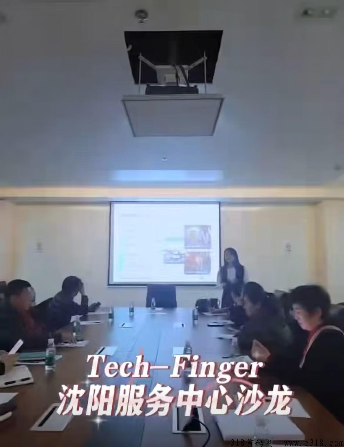 Tech-Finger全球首款AI游戏，强大无泡沫，全网对接团队长