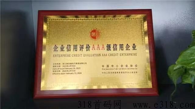 淘货铺电商代购，点对点，秒进秒出，实体公司