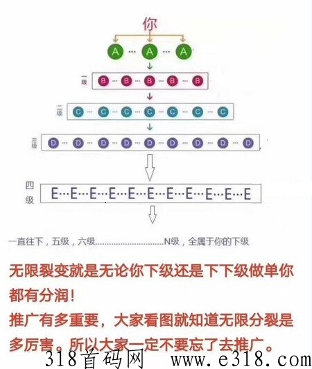 凤翔首码，全新首发近期上线，等你来