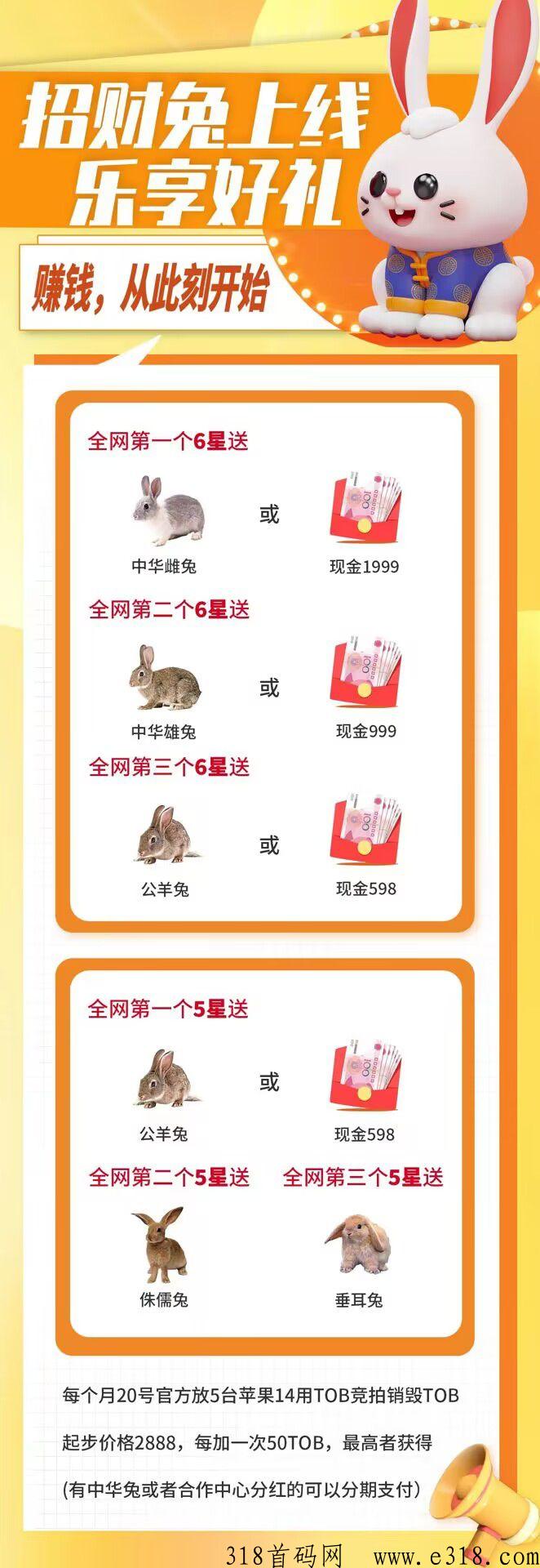 招财兔2023火爆项目已上线，早上车早吃肉