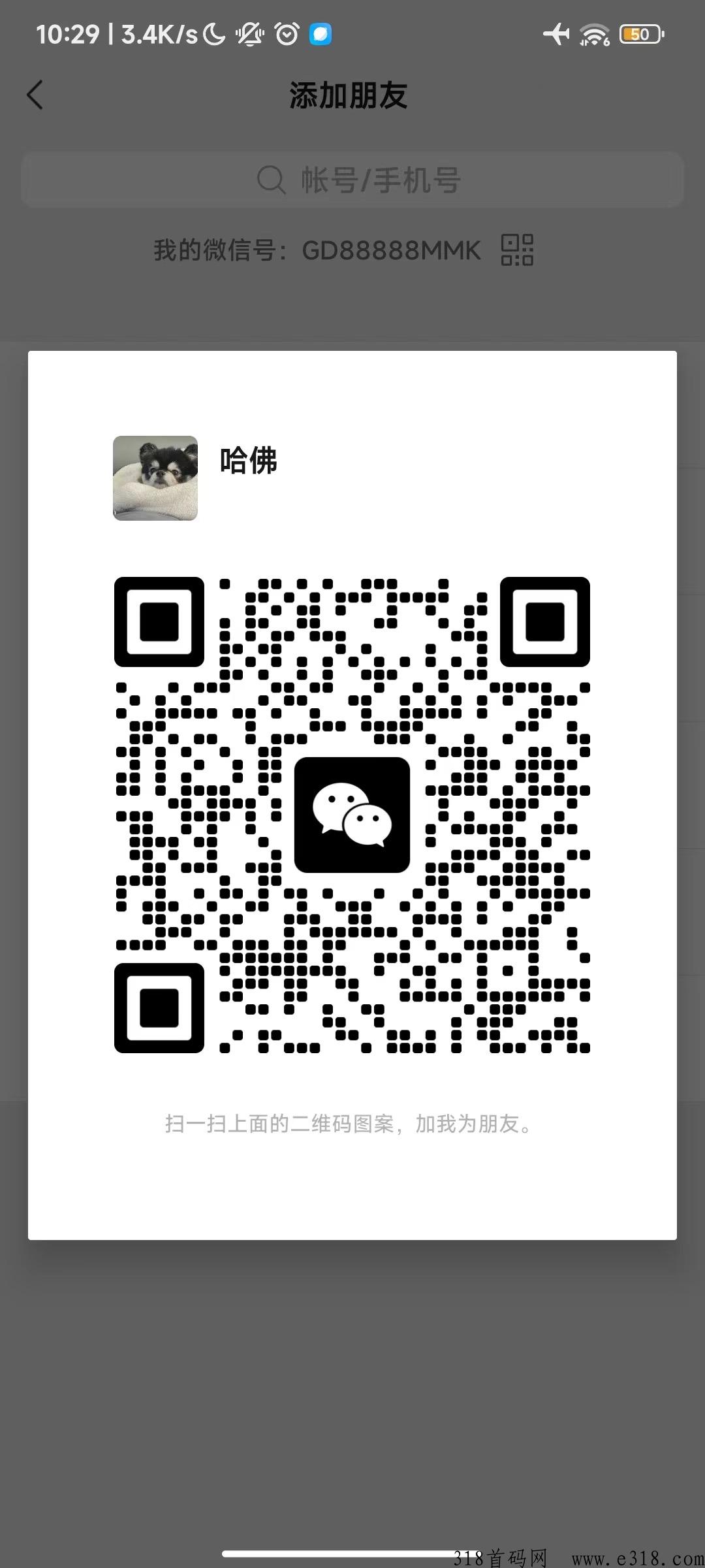 招财兔2023火爆项目已上线，早上车早吃肉